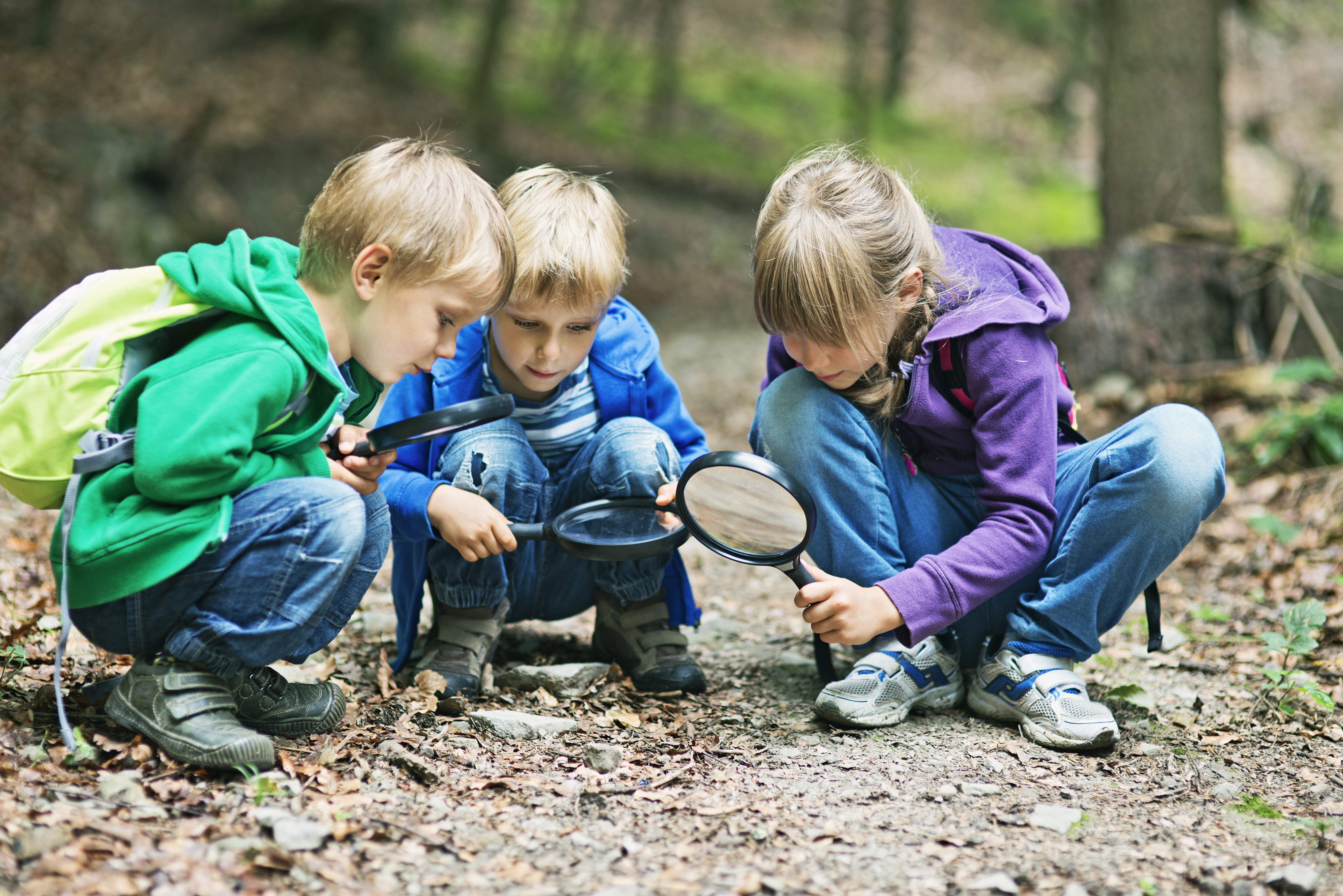 Discovering the mysteries of nature